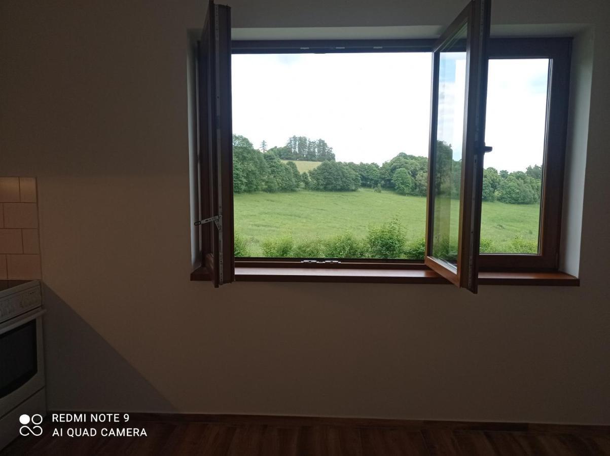 Apartmany U Becova Nad Teplou Bečov nad Teplou Kültér fotó