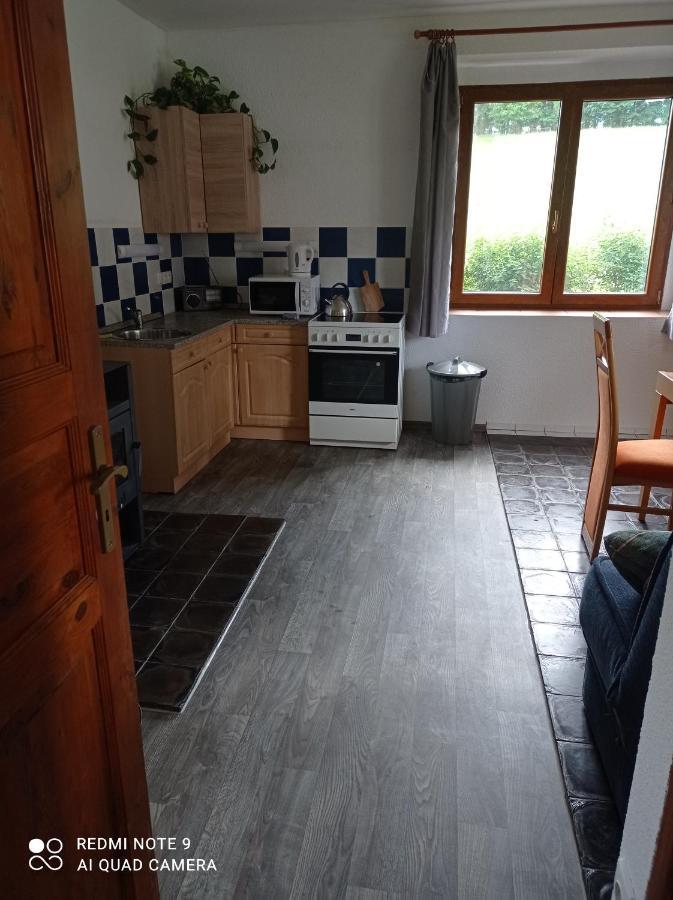 Apartmany U Becova Nad Teplou Bečov nad Teplou Kültér fotó